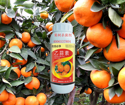 施达优冬天果树清园杀菌剂 治烟青，护园护收