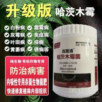 贝多丰芒果与香蕉炭疽病杀菌剂高效防治指南