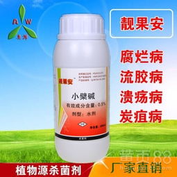 高效防治辣椒灰霉病与叶霉病的有机新选择 靓果安杀菌剂专业解析